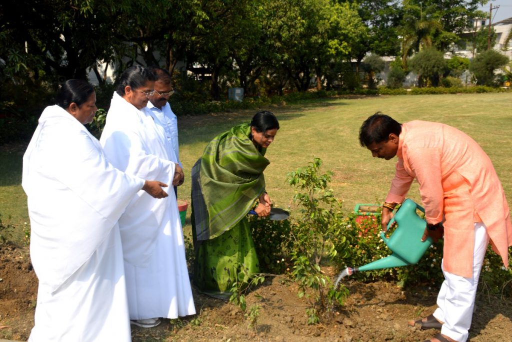 विश्व पर्यावरण दिवस